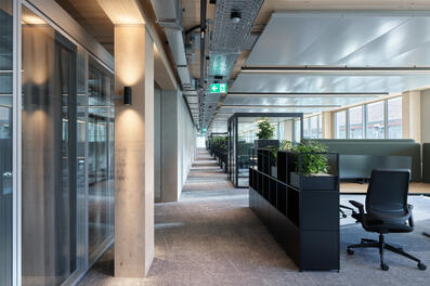 Vorschaubild 240429_Winterthur_Swica-Elefant_1007_A5.jpg