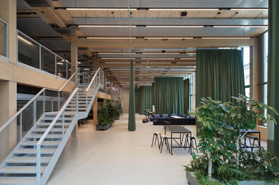 Vorschaubild 240430_Winterthur_Swica-Elefant_1249_A5.jpg