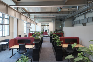 Vorschaubild 240518_Winterthur_Swica-Elefant_1528_A5.jpg