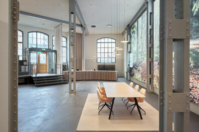 Vorschaubild 240518_Winterthur_Swica-Elefant_1581_A5.jpg