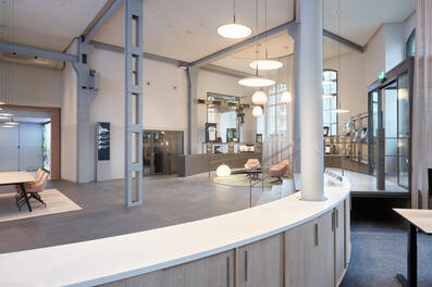 Vorschaubild 240518_Winterthur_Swica-Elefant_1596_A5.jpg