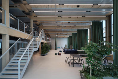 Vorschaubild 240524_Winterthur_Swica-Elefant_1801-2_A5.jpg