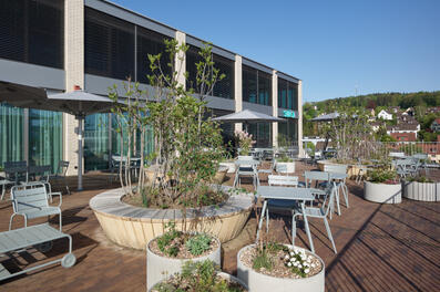 Vorschaubild Foto Michael Haug