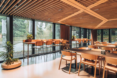 Vorschaubild dsc08474