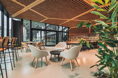 Vorschaubild dsc08504