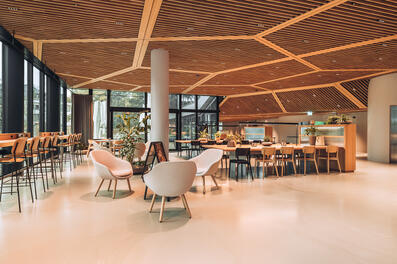 Vorschaubild dsc08508